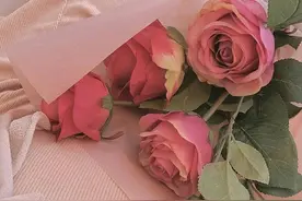 男人，第一眼就喜欢上你，大都是因为，你让他有了这些异样的感觉图片