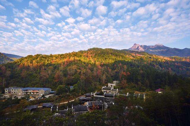 韶关晚秋“神仙景致”：云海、奇峰、秋叶奏响绝美“三重奏”！