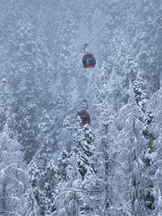 达古秋韵｜当第一缕晨光吻过云海，这里正上演秋日的浪漫相遇