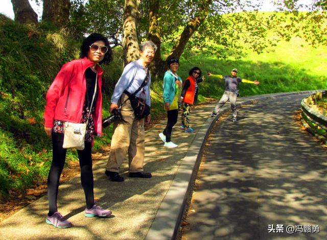大洋洲旅游：探寻新西兰帆之都奥克兰（图）