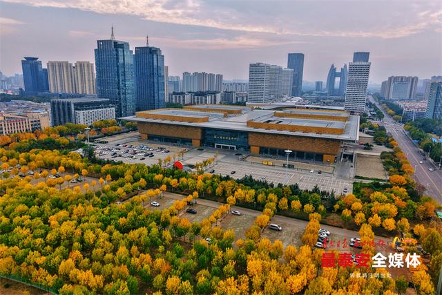 泰城深秋遍染金裳 斑斓画卷映眼帘