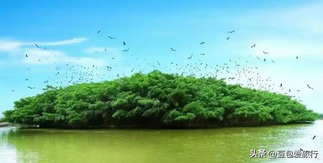 探寻侨乡古韵海岛风情之旅——江门漫游指南