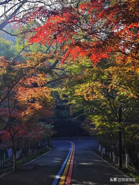 南京栖霞山突然狂圈粉！