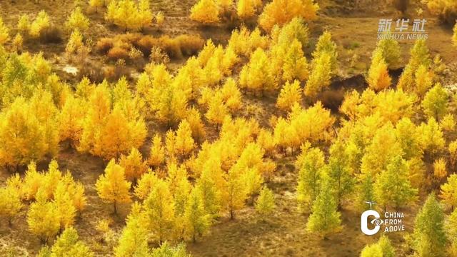 瞰中国｜内蒙古：草原上的北疆之美