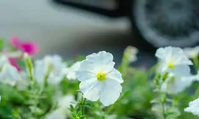 不管你信不信，男性过62岁基本都有5个现状，尤其最后一个更重要