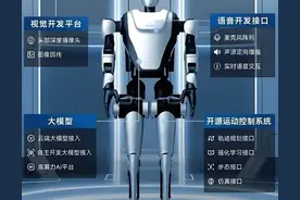 2025中国先进机器人TOP10：从工业智造到人形革命，谁主沉浮？图片