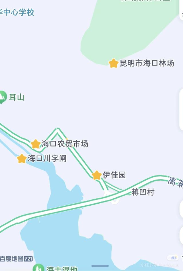 到滇池之上边，看周总理种植的树与秋日红枫林