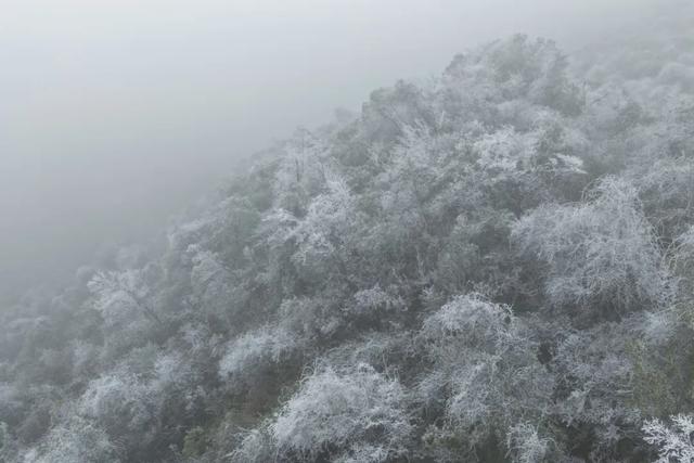 “云赏”怀集的冰雪世界