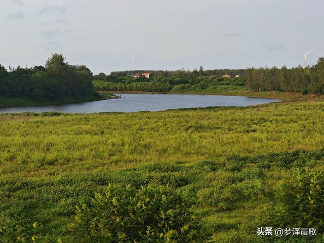 水围孤岛 云梦隔蒲潭镇鞠堤村贺家咀的四季密码