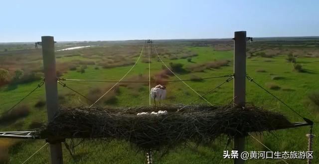 【黄河口生态旅游区】今日立秋
