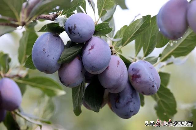 【节气里的大美中国·多彩甘肃】秋分
