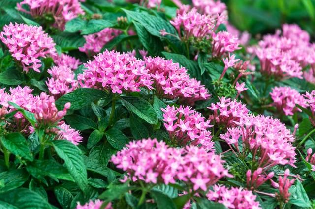 为什么十个亲家，九家关系处得都一般，原因就是一个，理念不一样