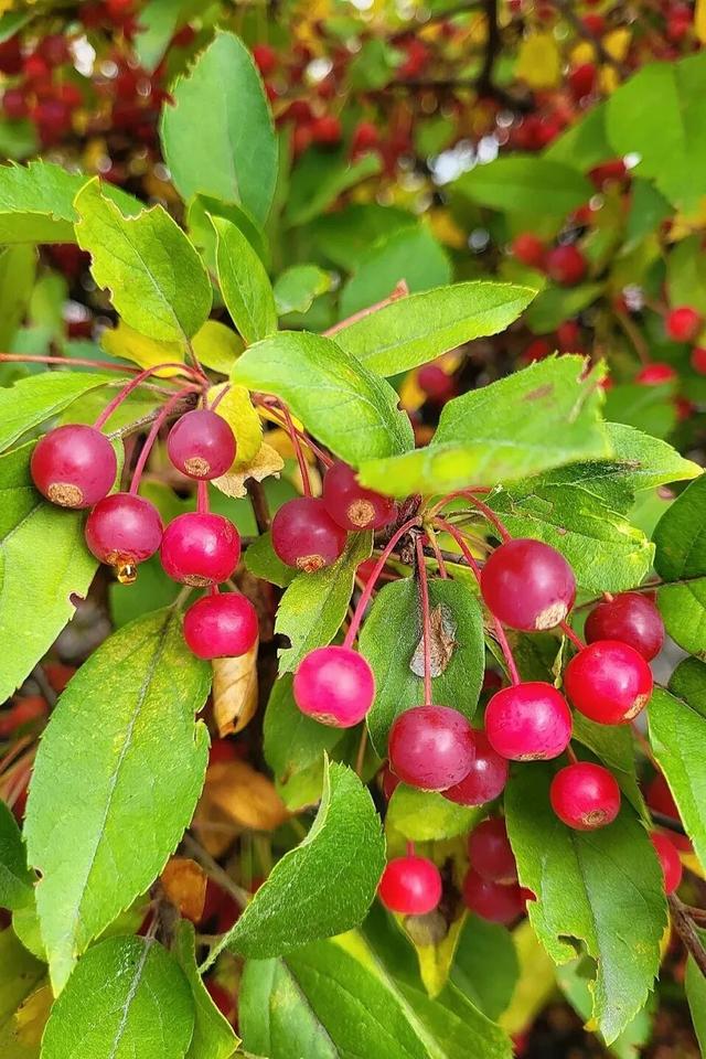 太原市迎泽区：府城漫步｜满城色彩绘就秋日画卷