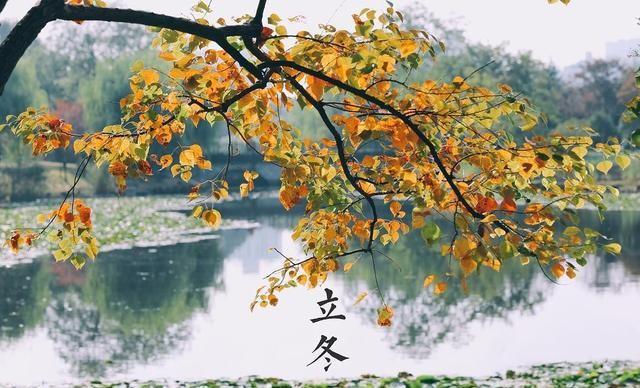 这不是迷信！“最怕立冬是雨天”，今日立冬，下雨啥预兆？