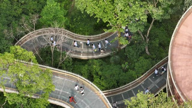 【宜居湾里】生态“磁力”吸引异乡银发族，湾里山水安放诗意晚年