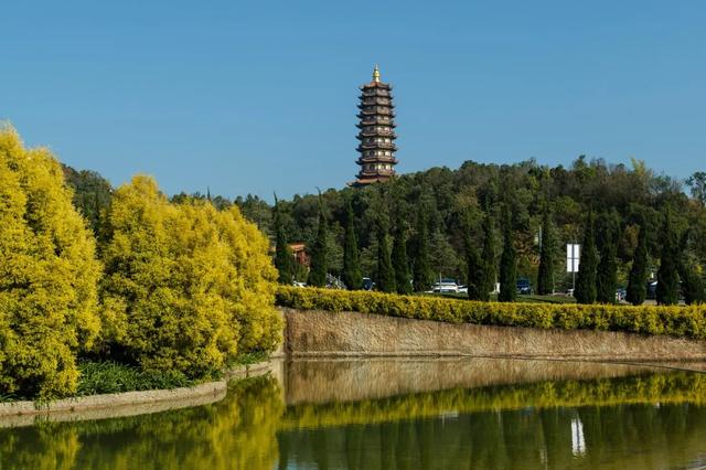 3月22日发班！7日早春滇东南赏花之旅，太美了！