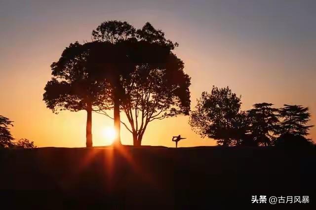 一辈子都写不出的金句，我帮你搜罗了50条