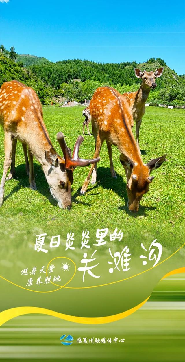 9张海报！带你打卡临夏夏日清凉秘境——关滩沟