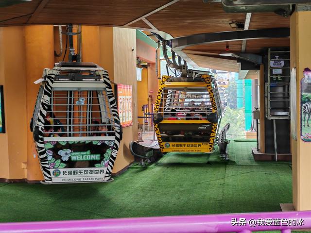 参观广州长隆野生动物园，全程感觉眼累手累腿不累