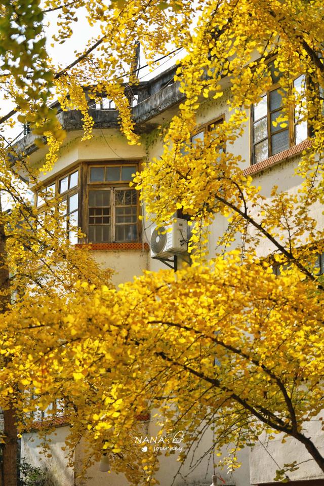 漫游韶关，赴一场山水间的秋日之约