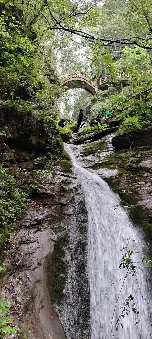 [湖北 襄阳市保康县]