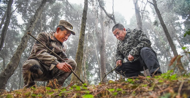 监守自盗! 2024年, 湖北一护林员在山里架980米电网, 冰柜中搜出肢体