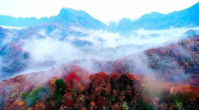 “潍风巴韵・情聚渝东”潍坊文旅开州推介会举办（附专属优惠）