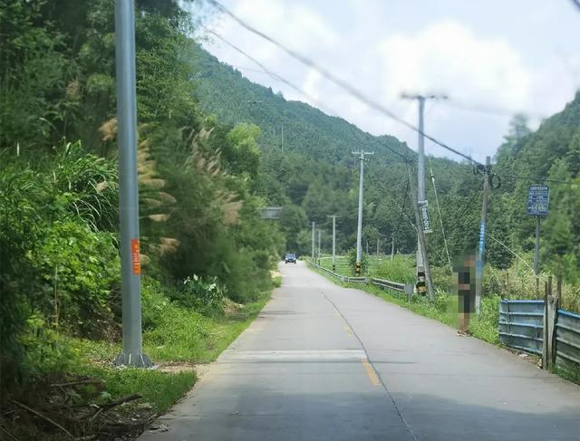 1180万!许家洞新改建2条公路