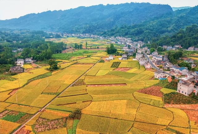四川省丹棱县历史沿革及行政区划