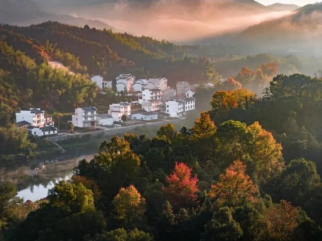 骑行赏枫、古村寻秋……被祁门的「枫景」治愈啦！| 皖美秋日