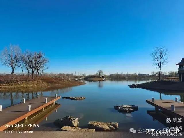 初冬北京玉河湿地公园游记|申艳娟