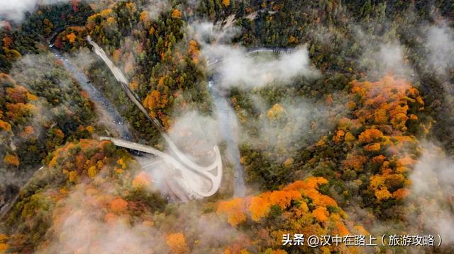 2025汉中黎坪红叶季10月15日云启幕！18日、19日免门票！