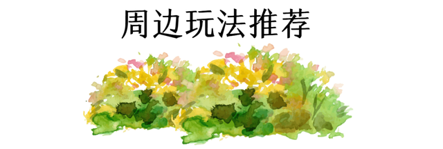 跟着影视游市南丨太会选景了！这里的“自然美”溢出屏幕