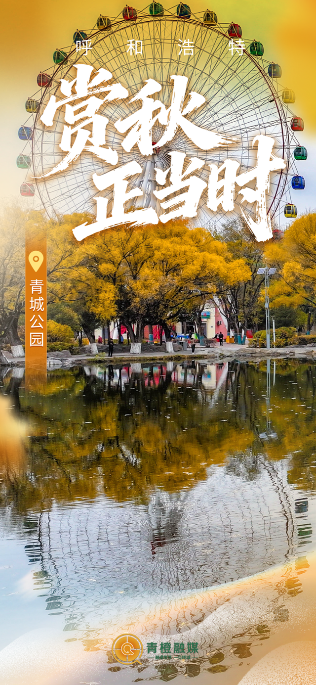 呼和浩特“换装”！限定“惊喜”来了！