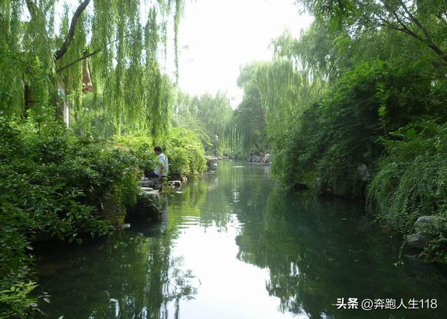 夏日炎炎，泉城戏水，不辞长作济南人