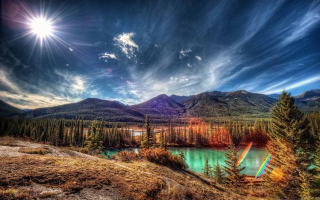 岁月凌霜，树叶枯黄，时光已是深秋