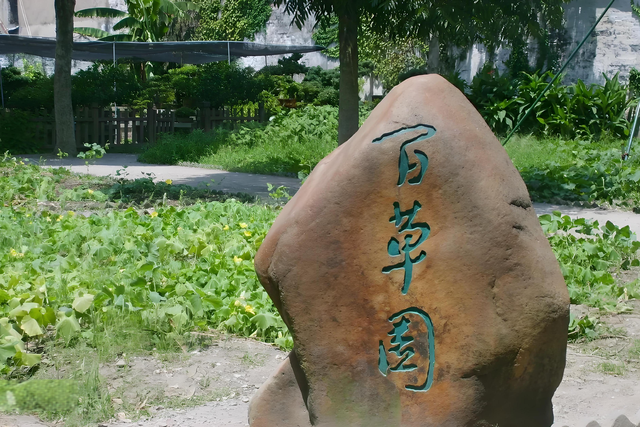 河北太行红色记忆焕新，地质奇观引客来，多元体验打造跨时空盛宴