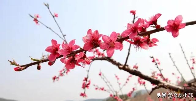 两性关系：男人过70岁，基本上都会有如下现状，具体表现是这样的