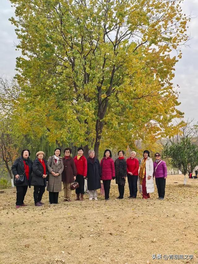 盘龙悠远银杏黄 水中学友情谊长