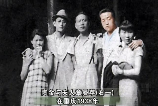 图说大明星陶金 娱乐圈少有的老实人 但为何妻子女儿却对他又爱又恨