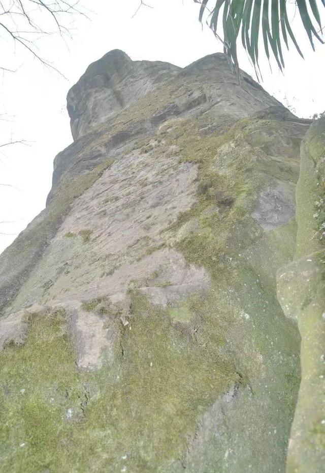 【历史文化】礼斗章山上 神守古洛前——写在高景关前三官残庙‖郭辉图