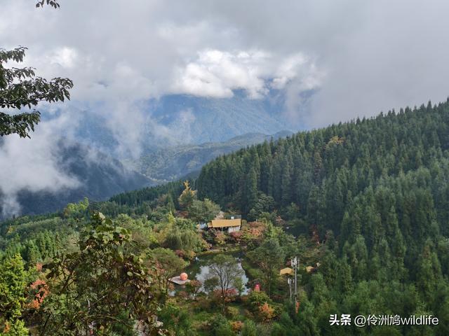 四川行(73)什邡红枫岭徒步到钟鼎寺