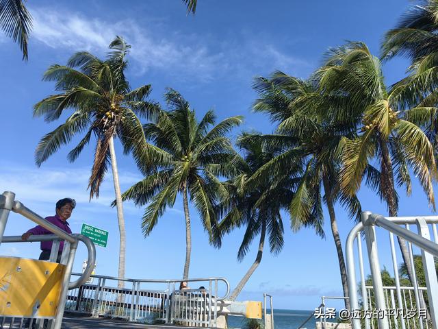 美国最南端的文艺小岛Key West(迈阿密游记四）