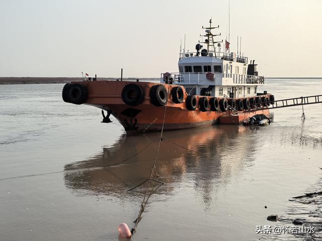 2025辽宁赏秋之旅日记(6)——到辽河口中国最北海岸线看日出 观鸟