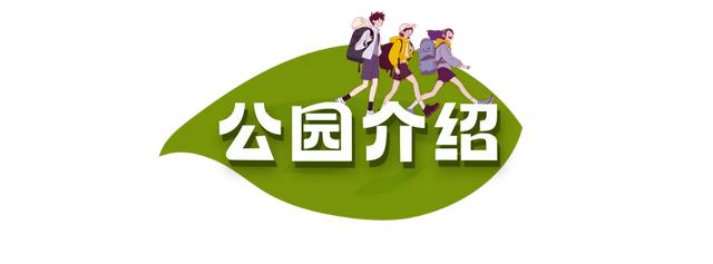 周五宠粉日|运动赏景两不误!这份公园运动指南请查收,更有辰山植物园门票等你免费领