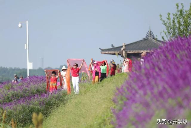 喜讯!瞿上田园正式获评国家3A级旅游景区!