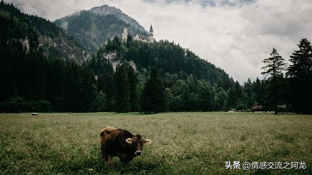 夫妻相处：退休后仍愿意一起旅行的伴侣，通常是这三类人！