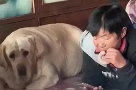 看体型就知道奶奶多宠爱！奶奶和狗狗趴在炕上吃东西图片