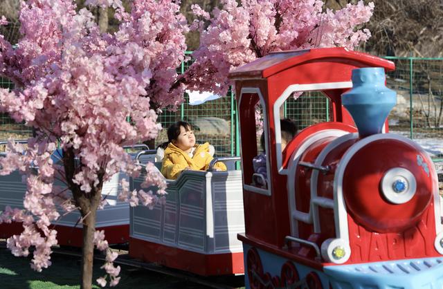 玉渊潭公园第十七届冰雪季启幕 全新百米冰滑梯领衔冬日畅玩