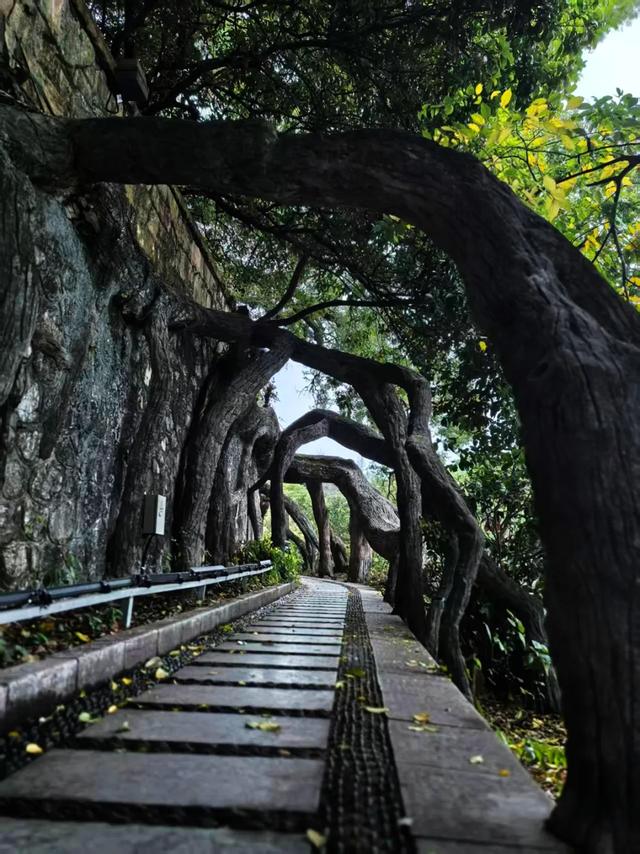 桂林：最是初冬晴午后！